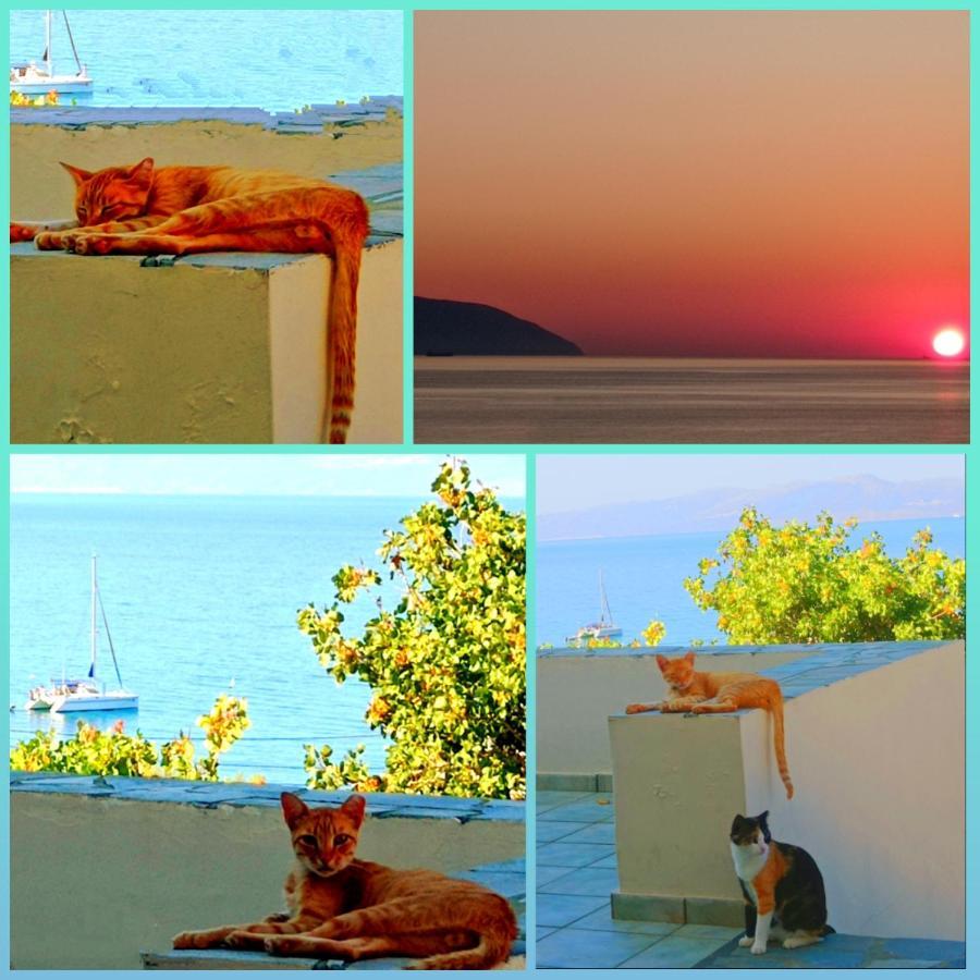 Agia Pelagia  Evangelia House Sea View Apartments מראה חיצוני תמונה